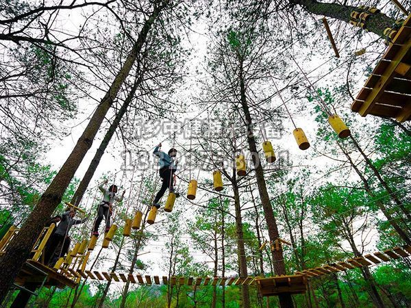 景區(qū)為什么要搭建叢林穿越設(shè)備？